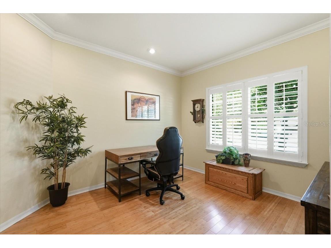 12010 San Chaliford Court Tampa FL 33626 O6352388 image20