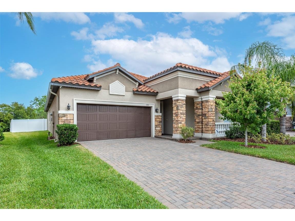12011 Cardinal Flower Drive Riverview FL 33579 T3528819 image1