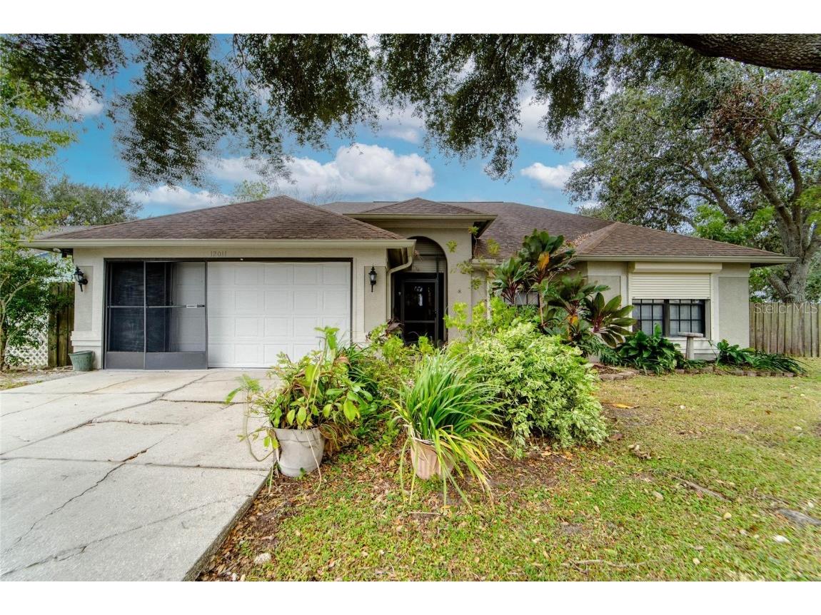 12011 Fruitwood Drive Riverview FL 33569 T3412915 image1