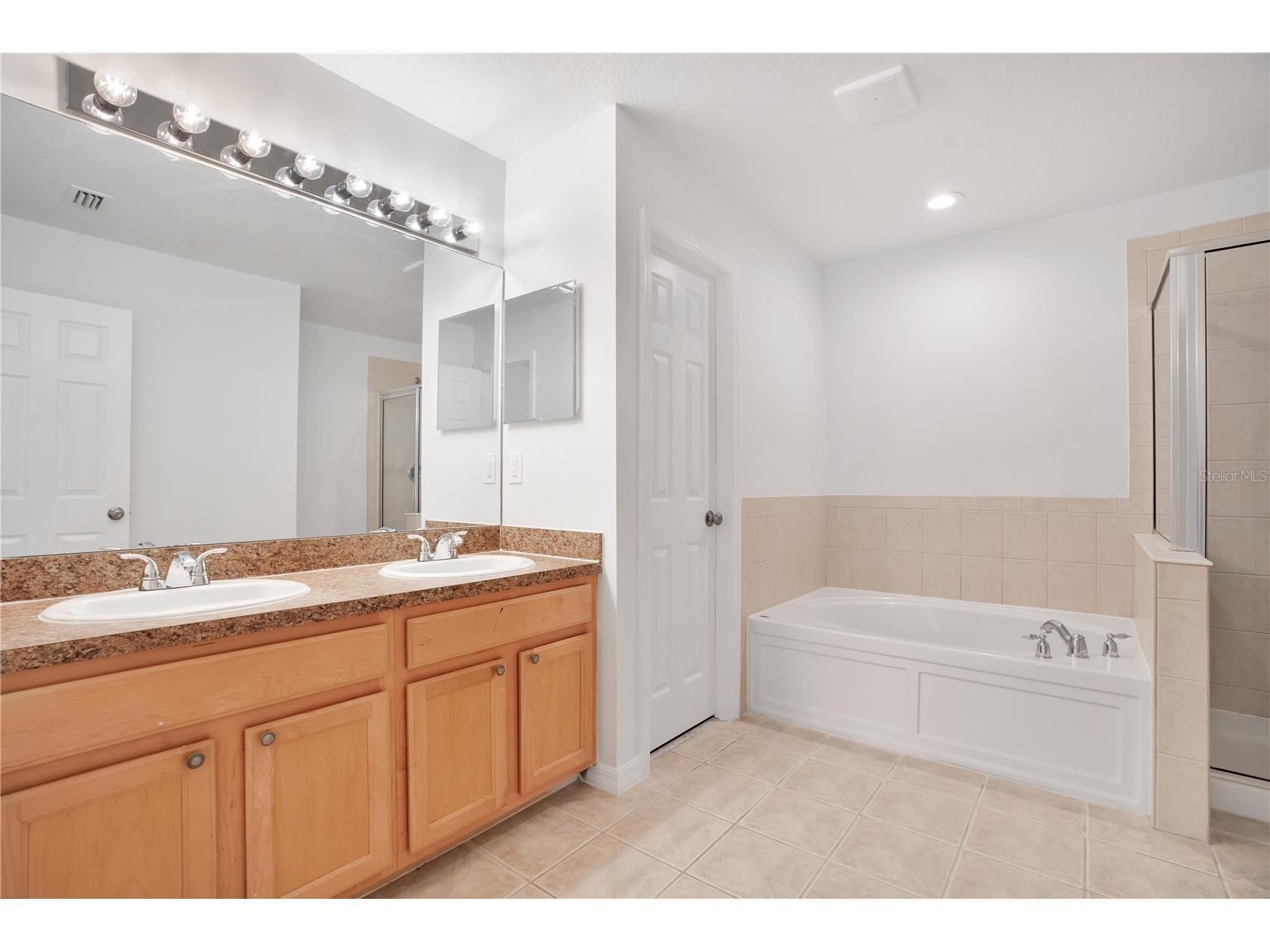 12012 Citrus Leaf Drive Gibsonton FL 33534 O6409710 image11