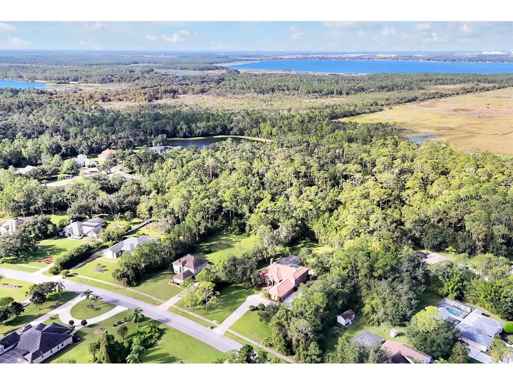 12012 Rambling Oak Boulevard Orlando FL 32832 O6373572 image2