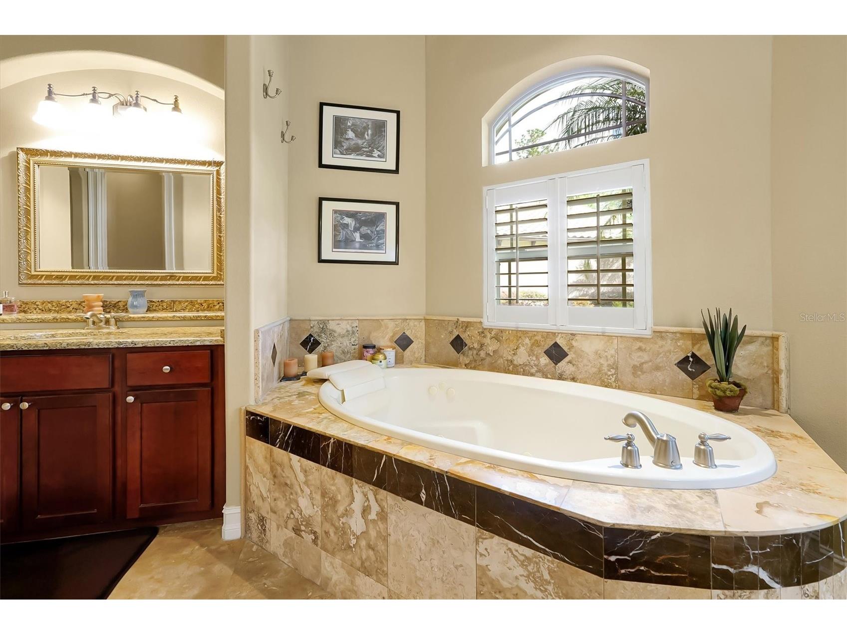 12012 Rambling Oak Boulevard Orlando FL 32832 O6373572 image22