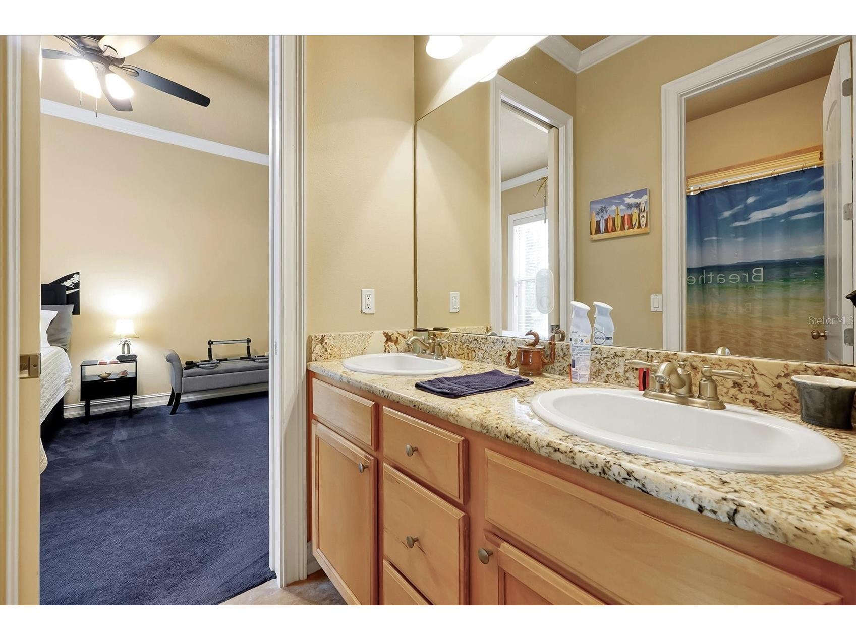 12012 Rambling Oak Boulevard Orlando FL 32832 O6373572 image26