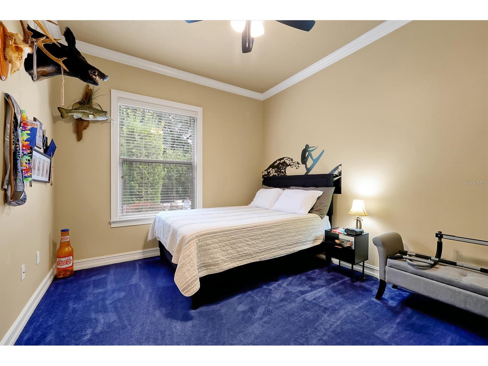 12012 Rambling Oak Boulevard Orlando FL 32832 O6373572 image28