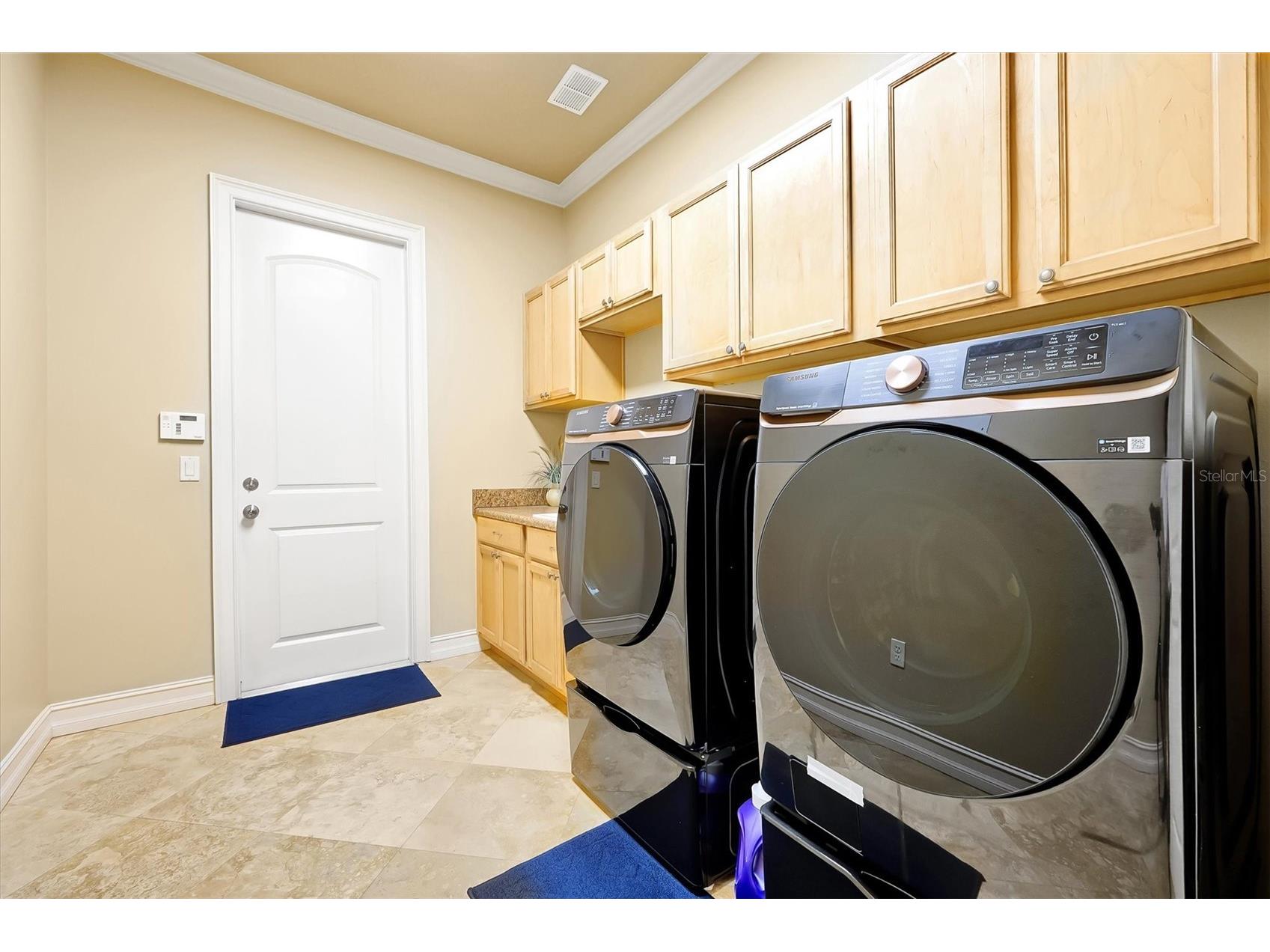 12012 Rambling Oak Boulevard Orlando FL 32832 O6373572 image30