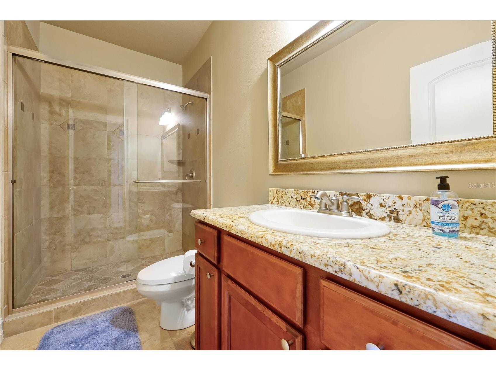 12012 Rambling Oak Boulevard Orlando FL 32832 O6373572 image35