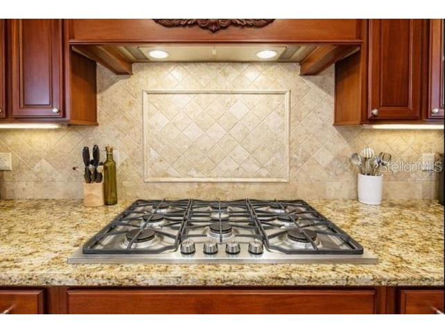 12012 Rambling Oak Boulevard Orlando FL 32832 O6373572 image8