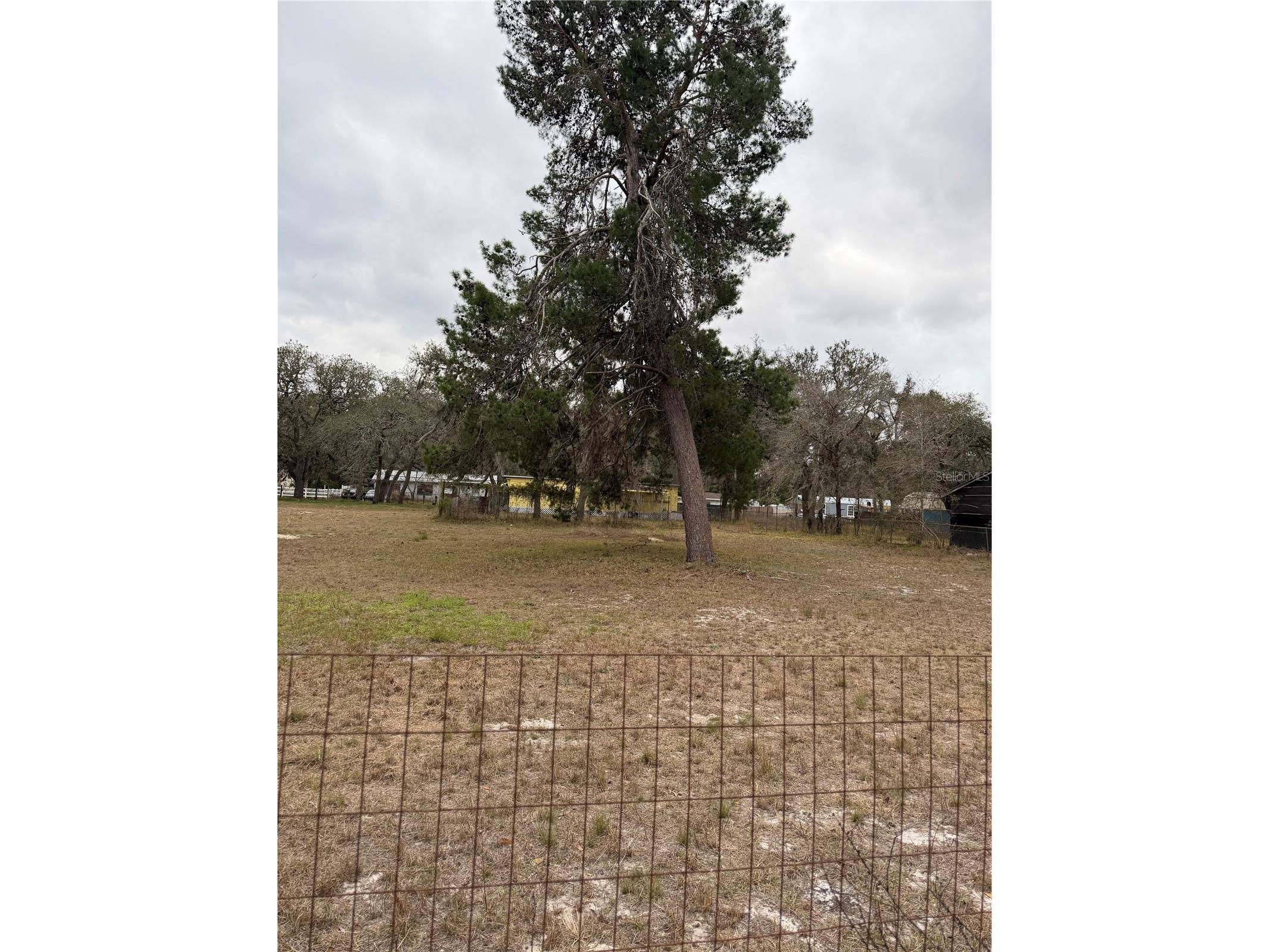 12013 Bethwood Avenue New Port Richey FL 34654 V4947536 image11