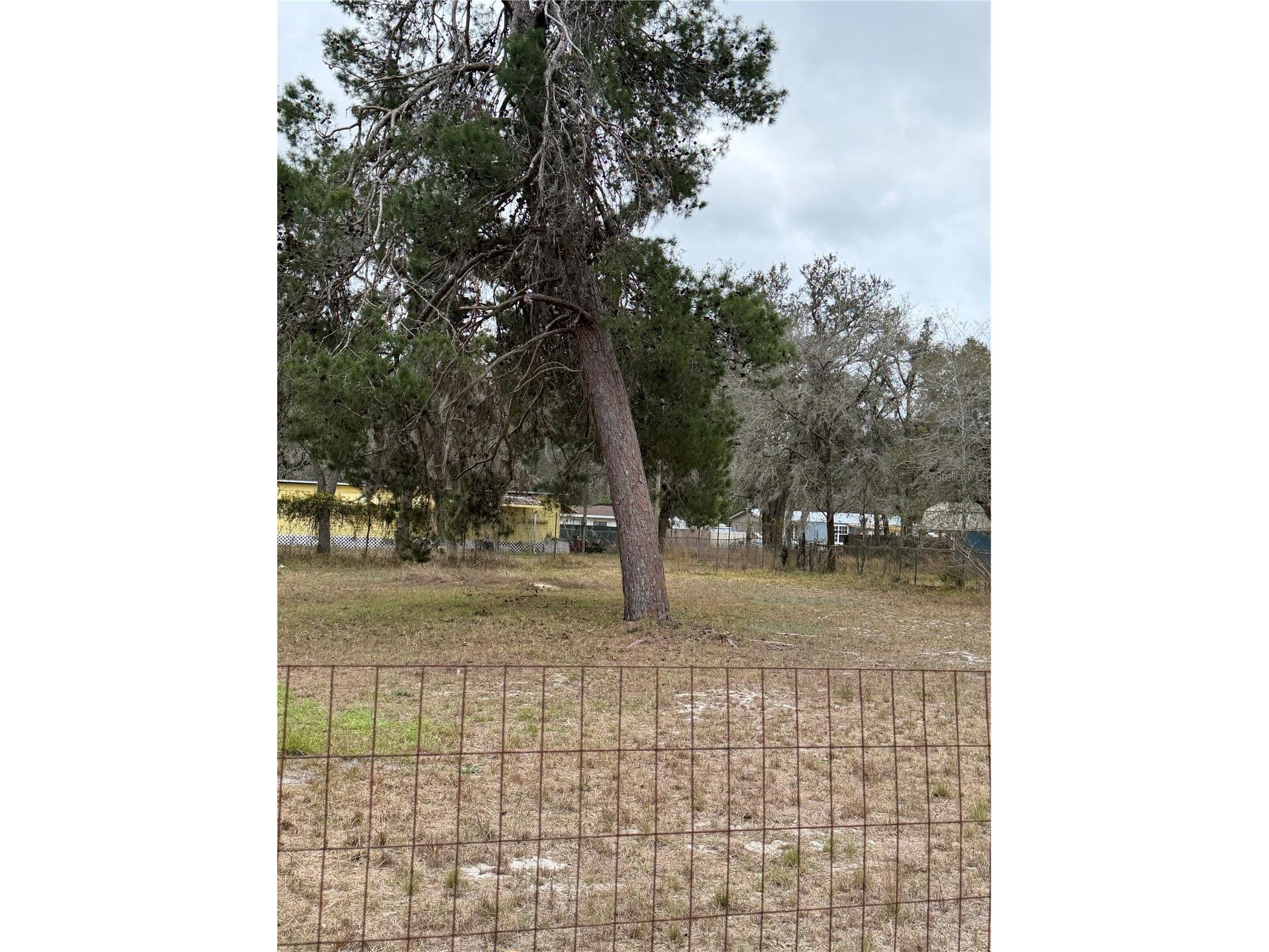 12013 Bethwood Avenue New Port Richey FL 34654 V4947536 image12