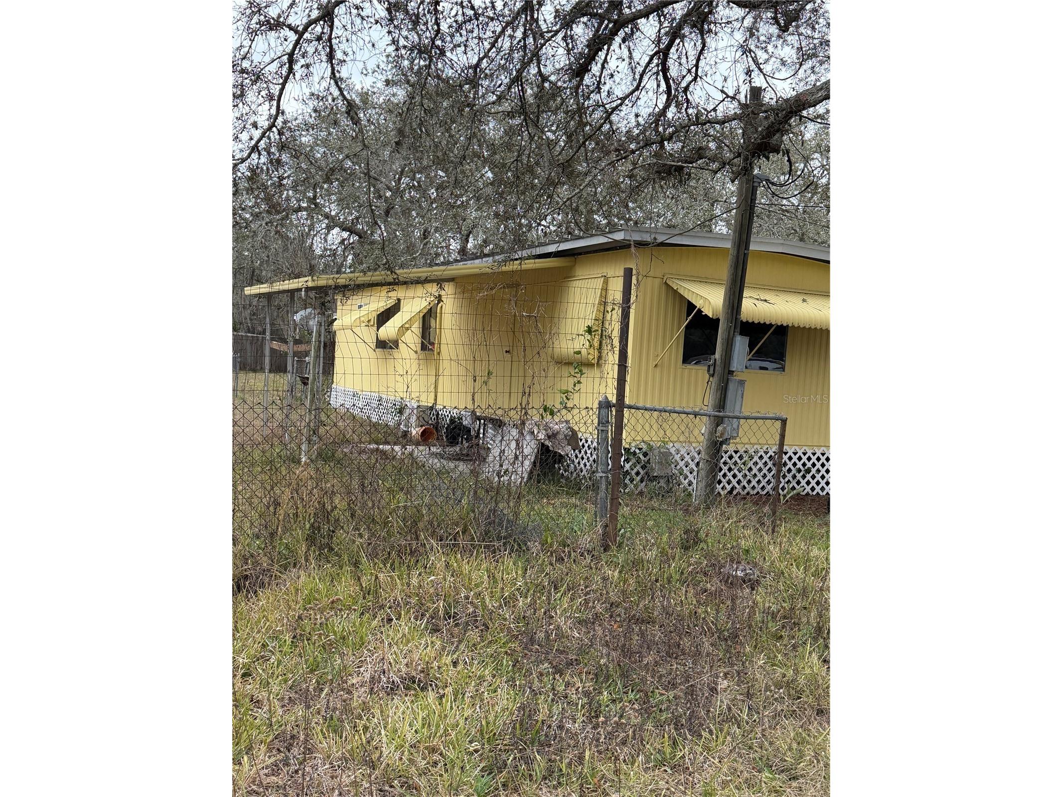 12013 Bethwood Avenue New Port Richey FL 34654 V4947536 image2