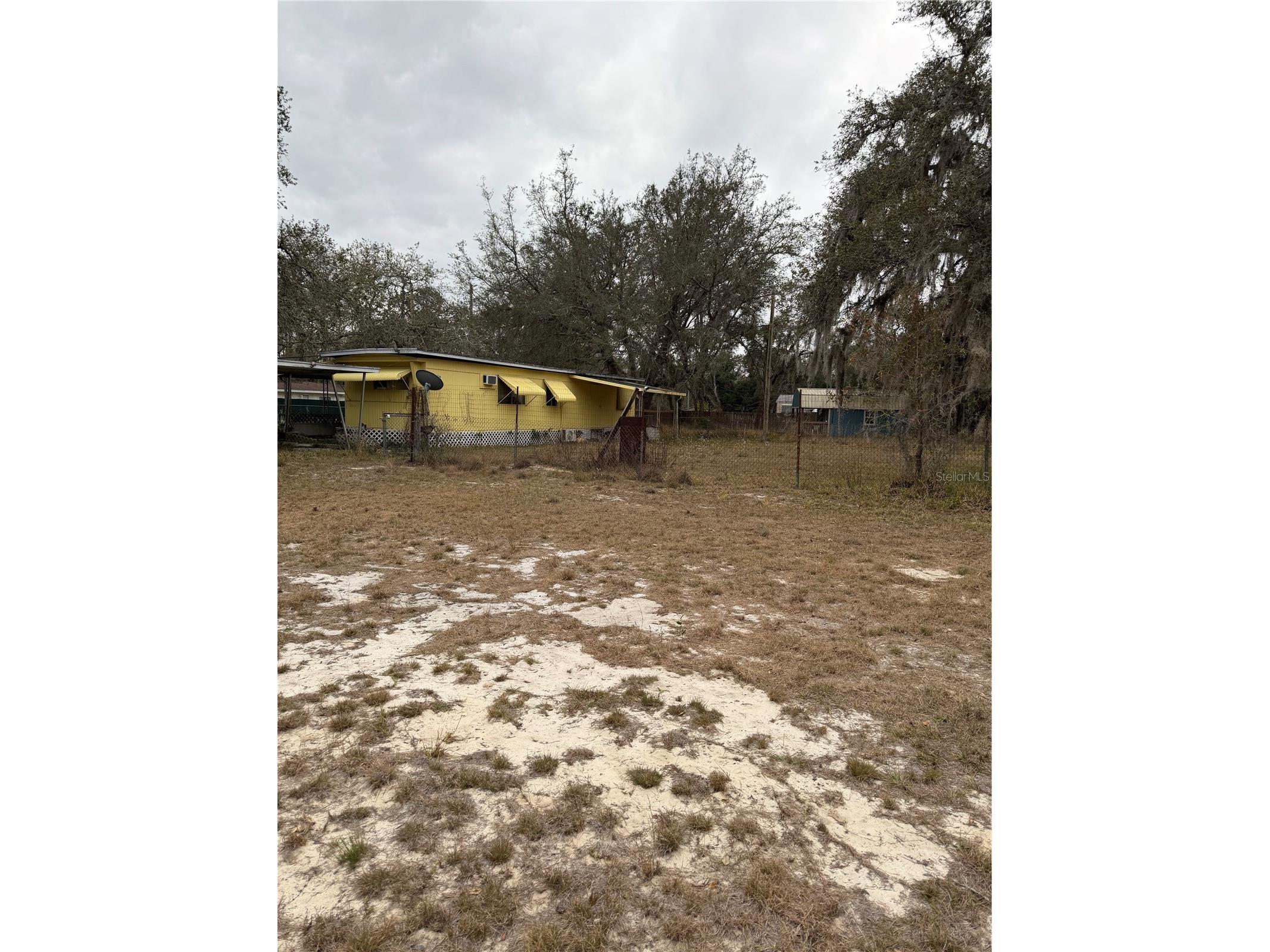 12013 Bethwood Avenue New Port Richey FL 34654 V4947536 image4