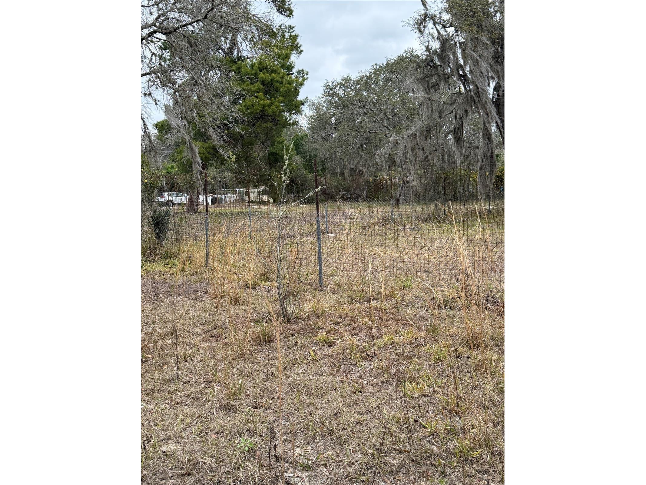 12013 Bethwood Avenue New Port Richey FL 34654 V4947536 image7