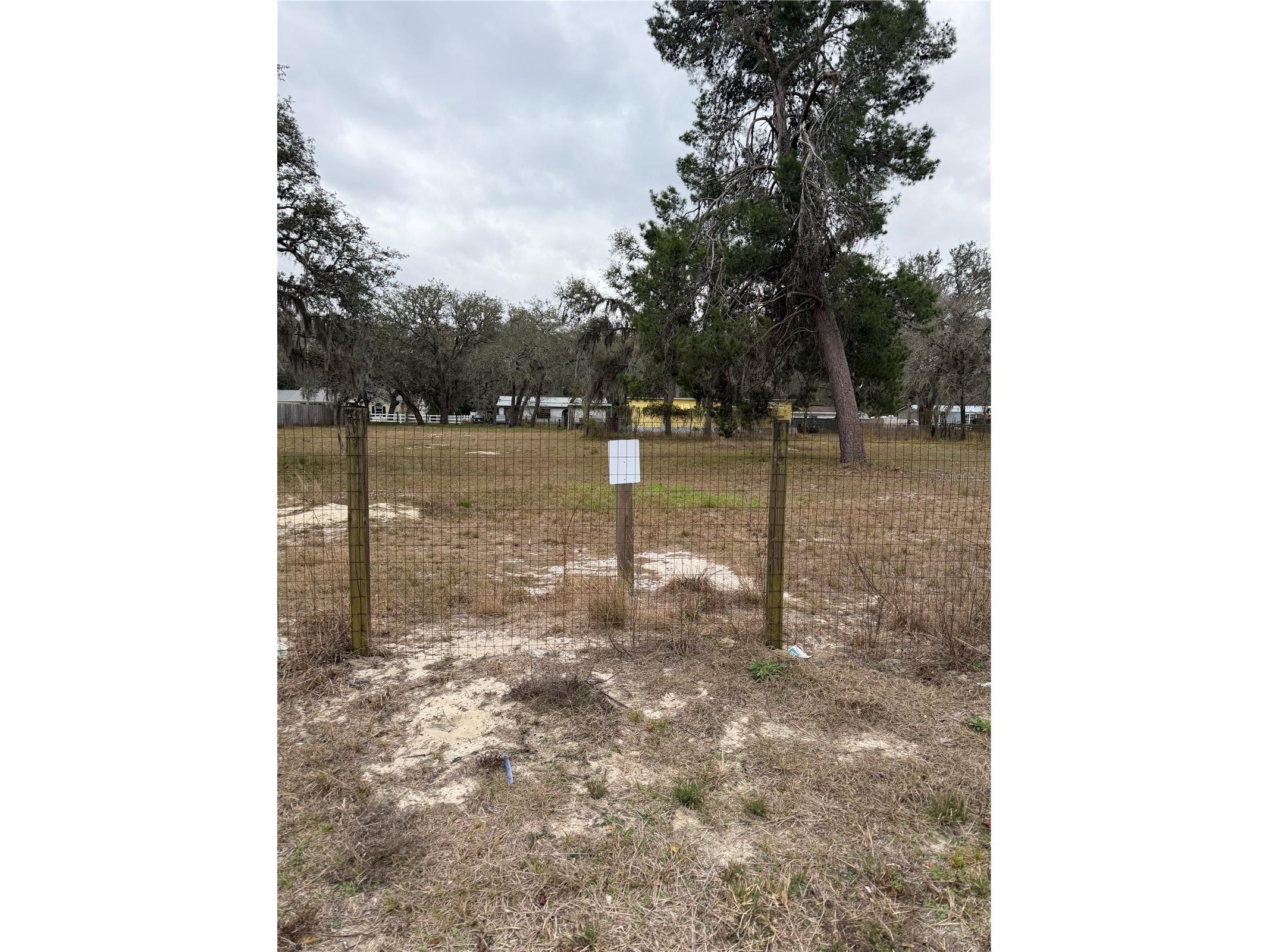 12013 Bethwood Avenue New Port Richey FL 34654 V4947536 image8