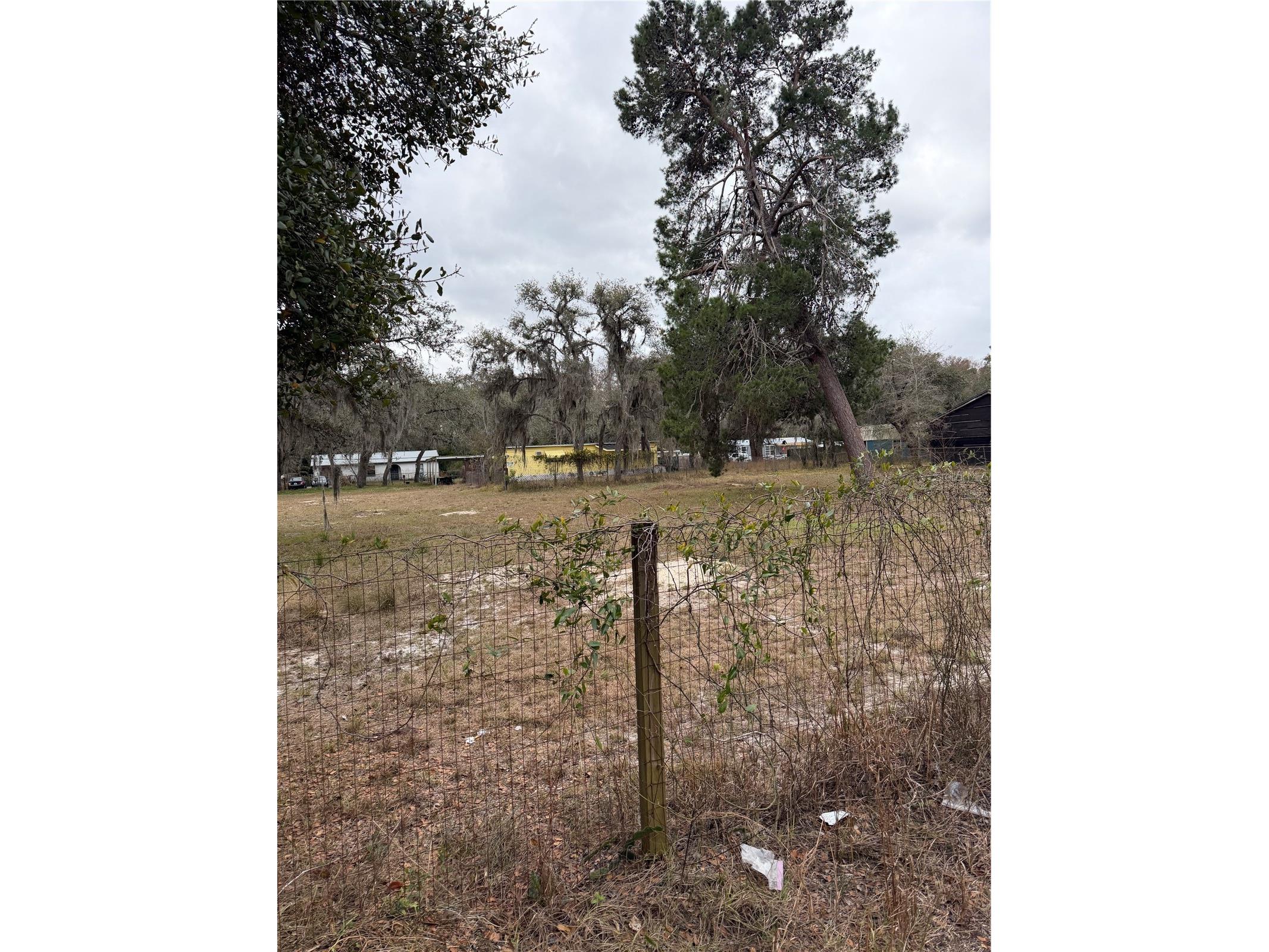 12013 Bethwood Avenue New Port Richey FL 34654 V4947536 image9