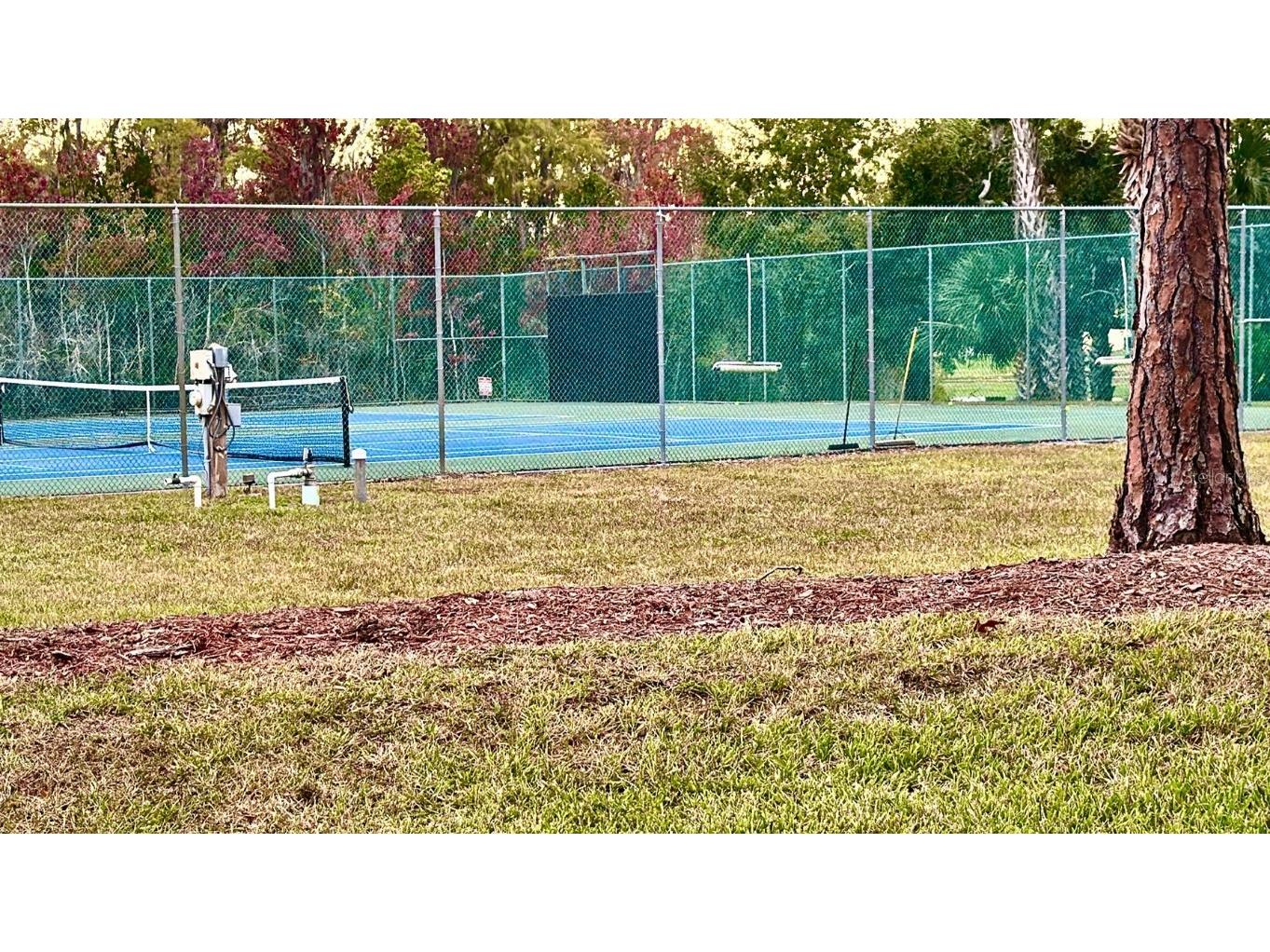 12013 Boynton Lane New Port Richey FL 34654 TB8446090 image13