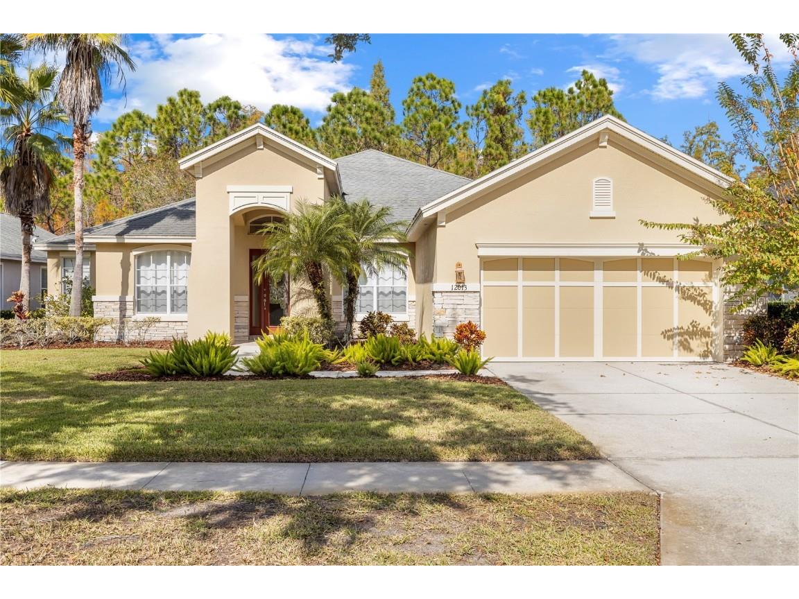 12013 Meridian Point Drive Tampa FL 33626 TB8449579 image1