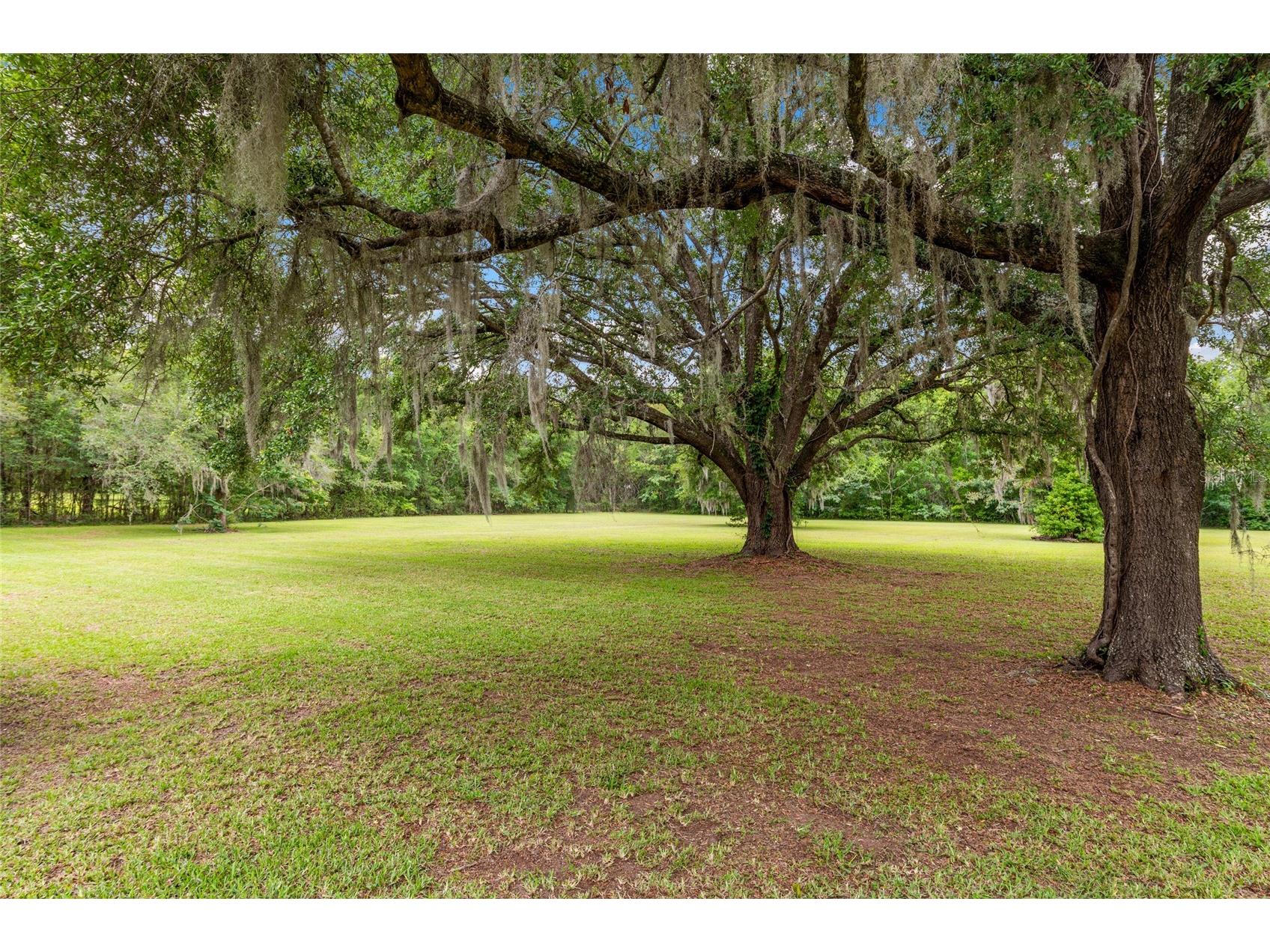 12014 NW 136th Street Alachua FL 32615 GC541085 image80