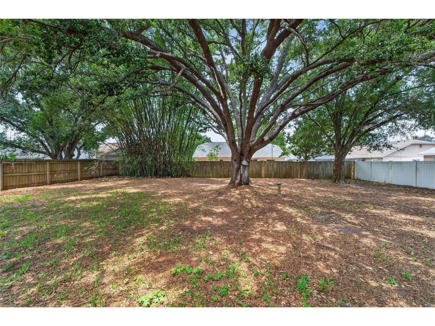 12014 Vermillion Way Riverview FL 33569 TB8507891 image6