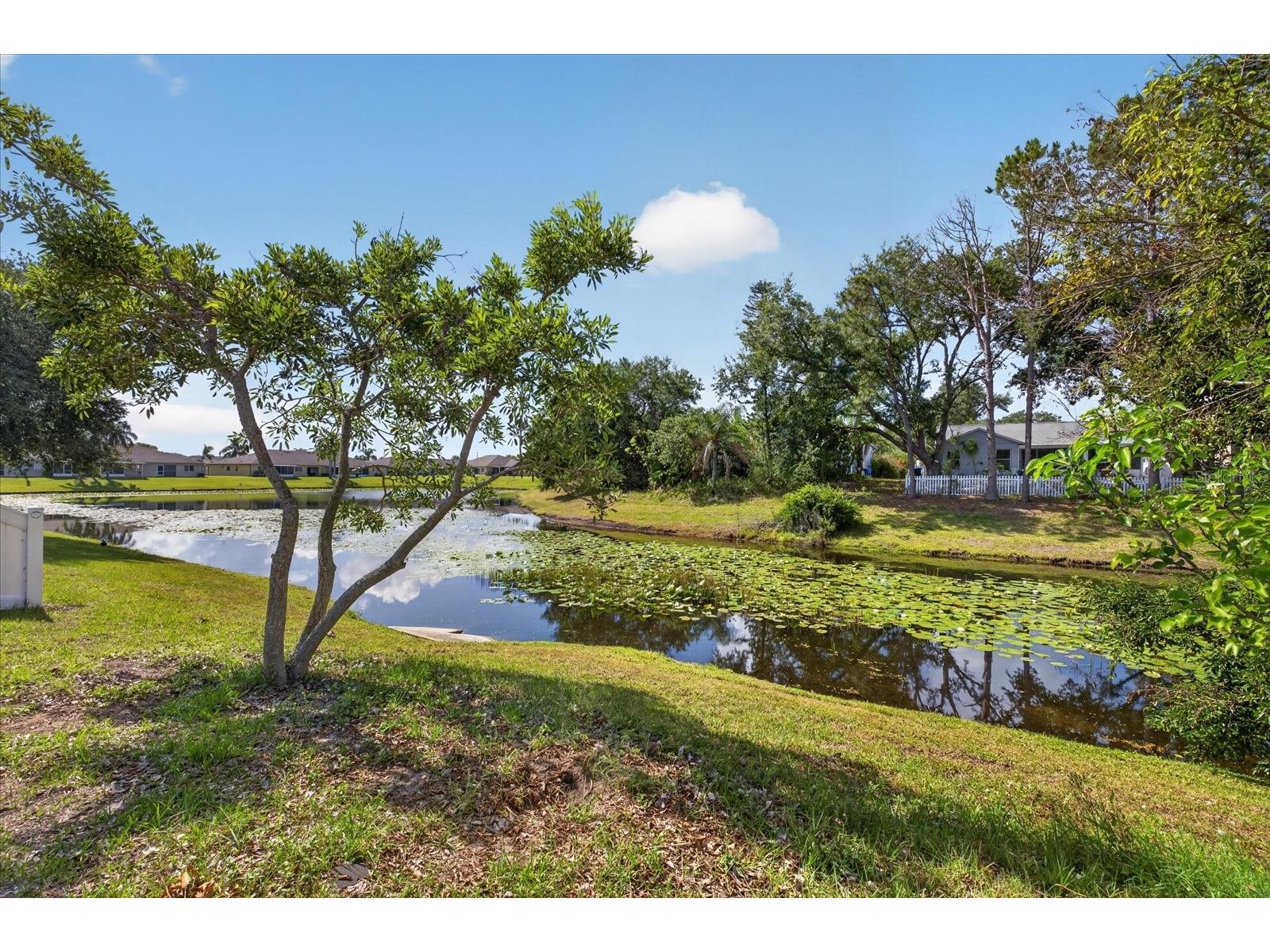 12015 Cedarfield Drive Riverview FL 33579 TB8506764 image34
