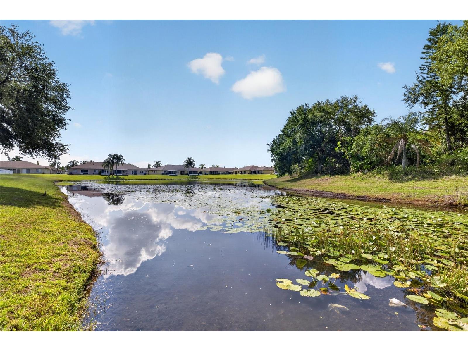 12015 Cedarfield Drive Riverview FL 33579 TB8506764 image35