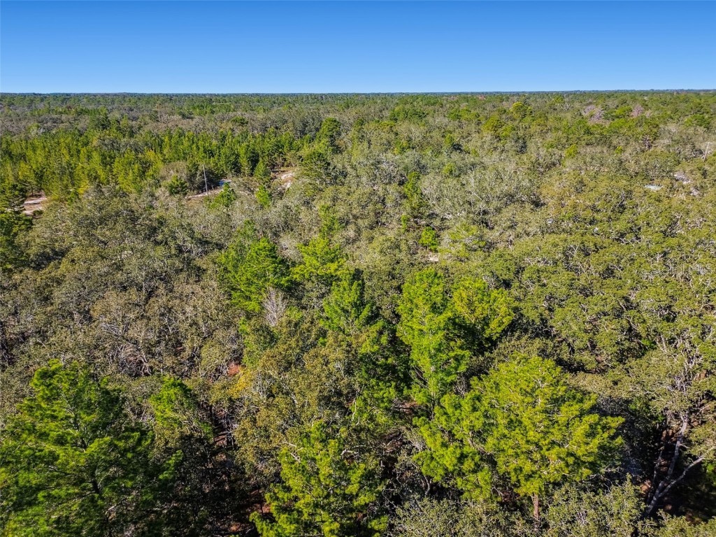 12015 Gladwin Avenue Hudson FL 34667 TB8448526 image17