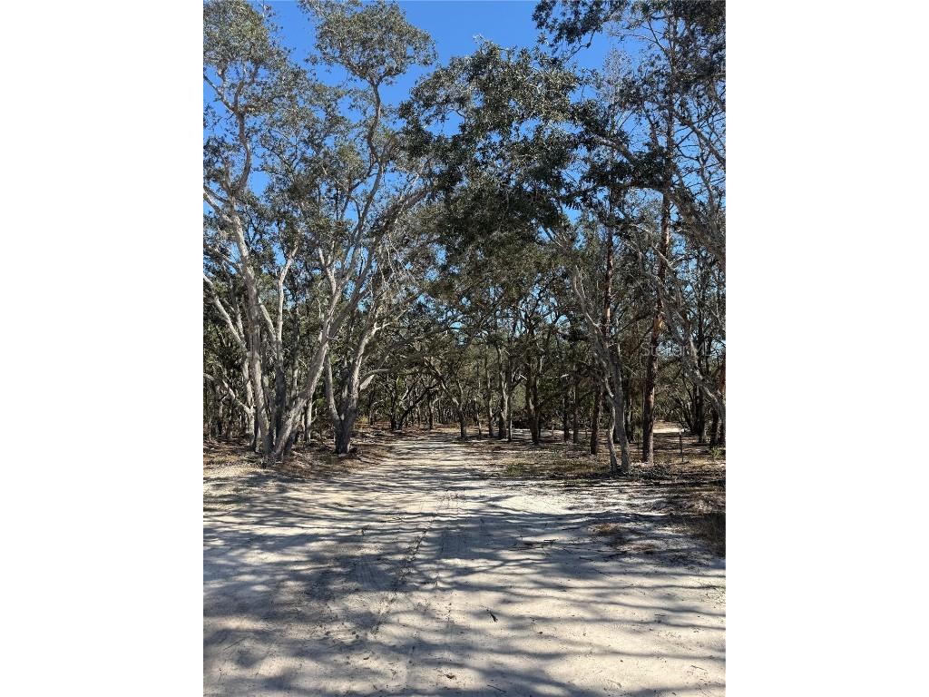 12015 Gladwin Avenue Hudson FL 34667 TB8448526 image4