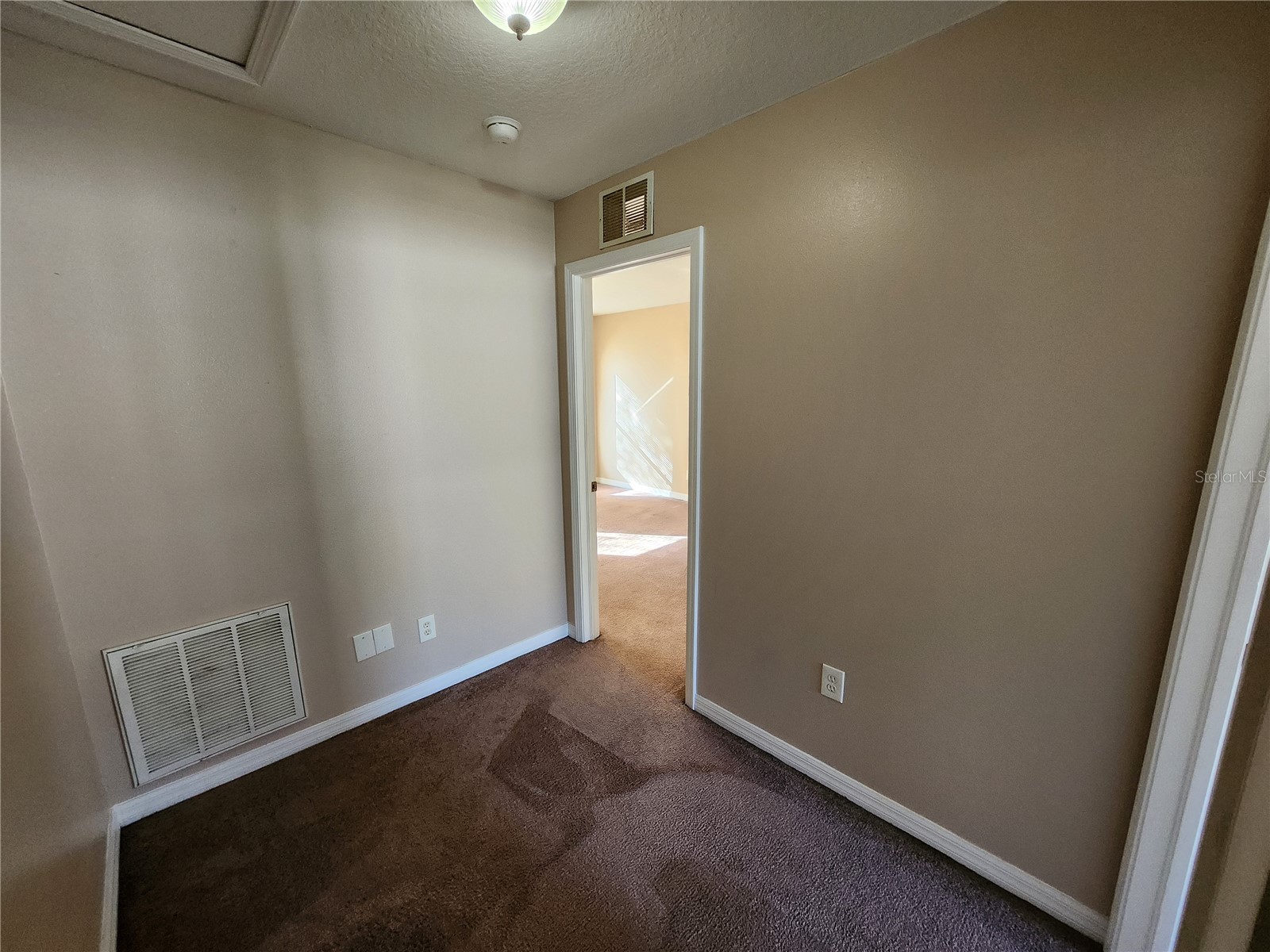 12015 Peach Grove Court Seffner FL 33584 TB8473249 image10