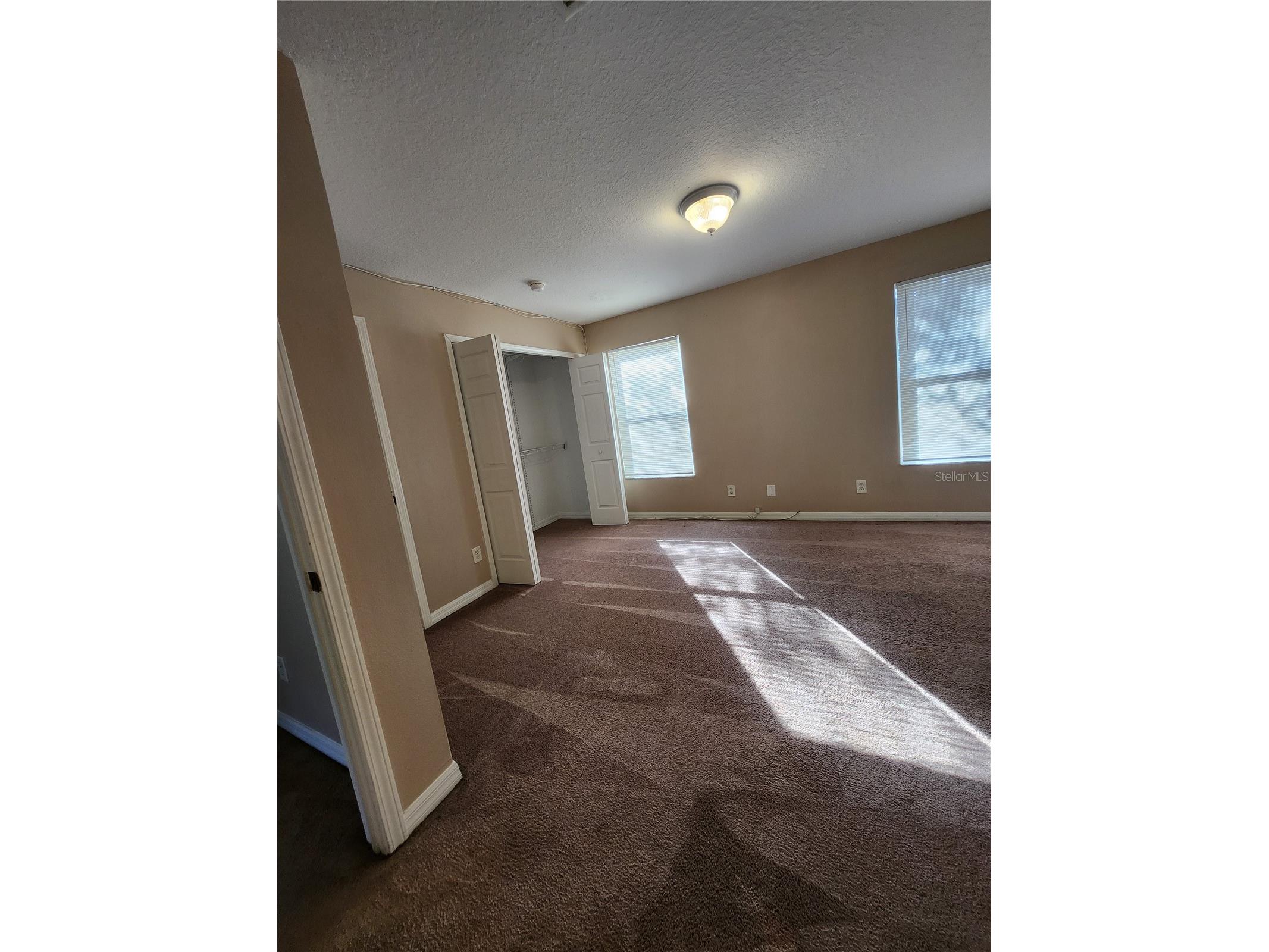 12015 Peach Grove Court Seffner FL 33584 TB8473249 image16