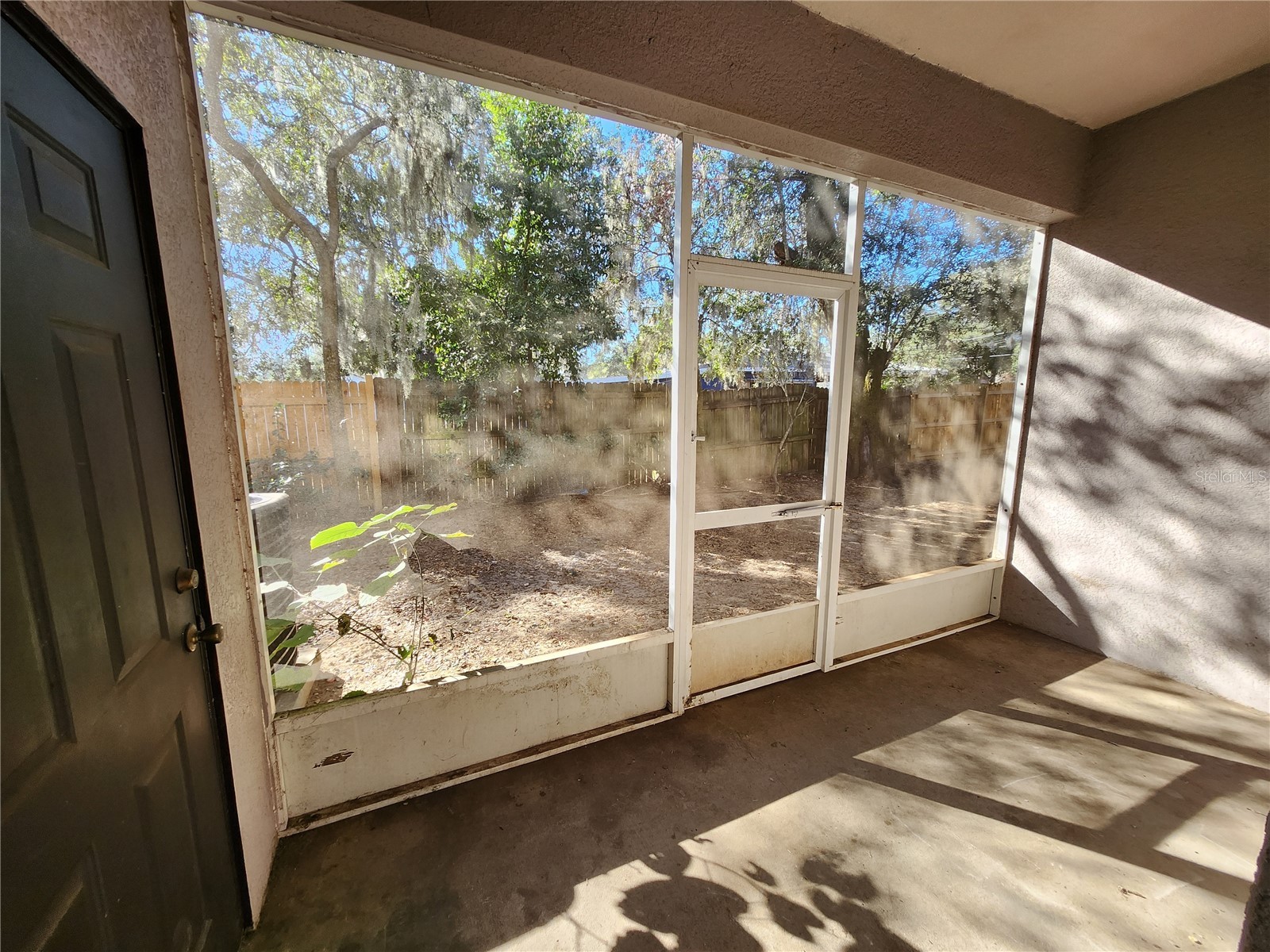 12015 Peach Grove Court Seffner FL 33584 TB8473249 image8