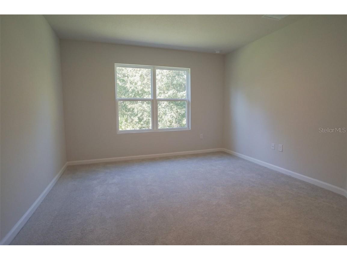 12016 Grizzly Lane New Port Richey FL 34654 TB8441309 image12