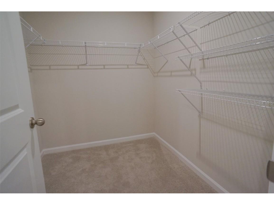 12016 Grizzly Lane New Port Richey FL 34654 TB8441309 image13