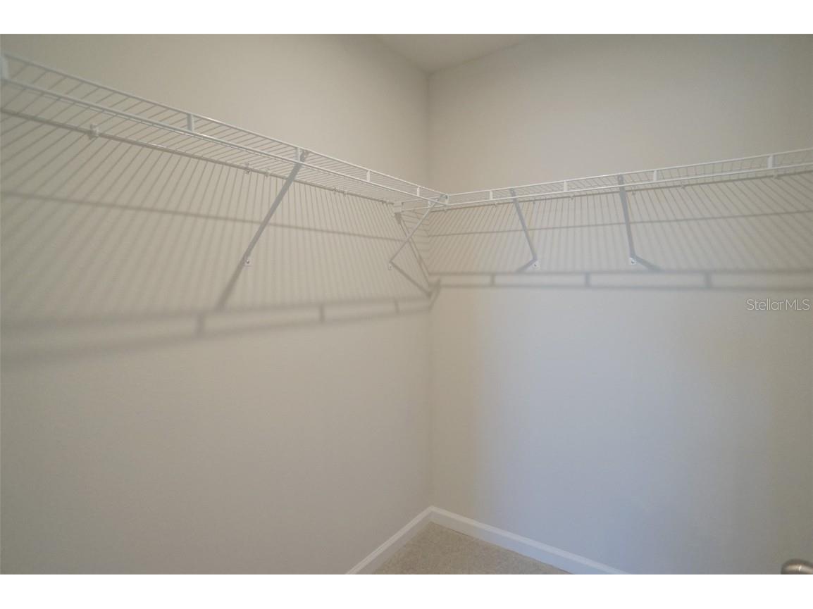 12016 Grizzly Lane New Port Richey FL 34654 TB8441309 image17