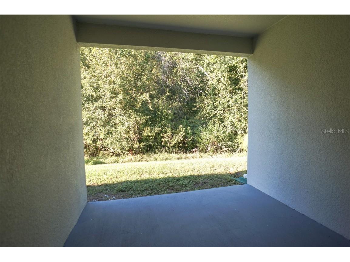 12016 Grizzly Lane New Port Richey FL 34654 TB8441309 image26