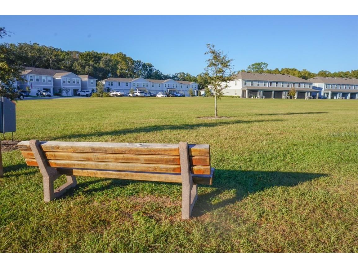 12016 Grizzly Lane New Port Richey FL 34654 TB8441309 image29