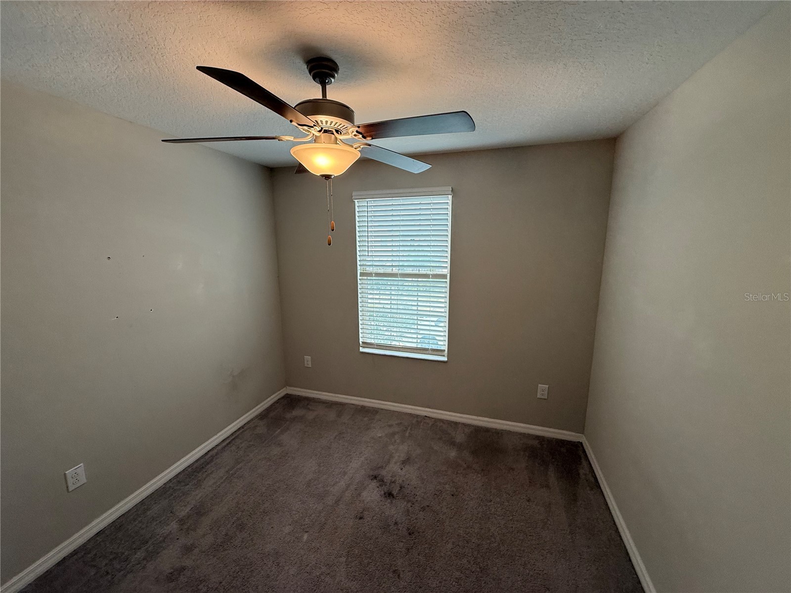 12016 Miracle Mile Drive Riverview FL 33578 TB8478621 image13