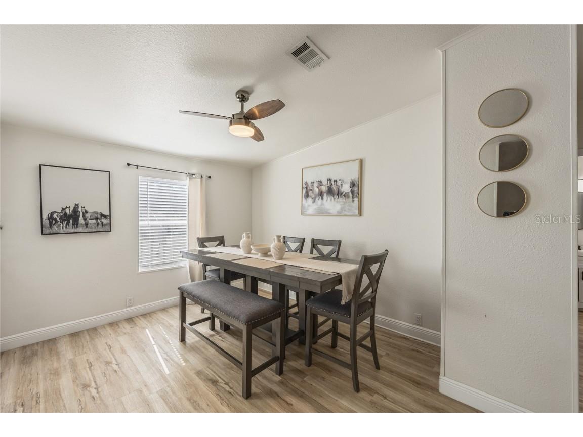 12017 Fawn Dale Drive Riverview FL 33569 TB8441202 image6