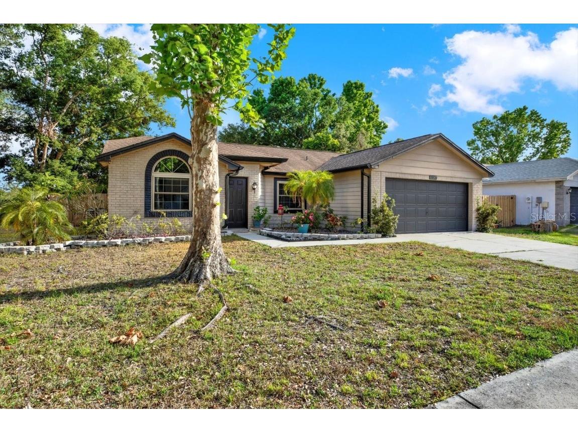 12017 Vermillion Way Riverview FL 33569 TB8379489 image1
