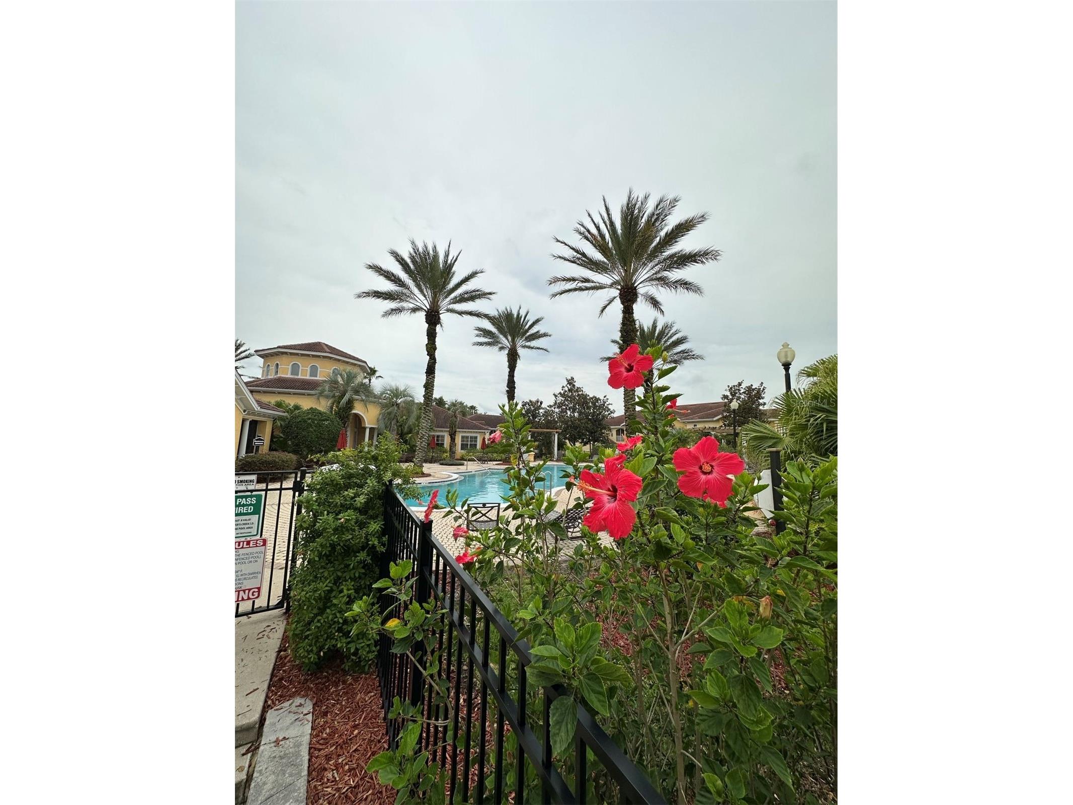 12017 Villanova Drive #109 Orlando FL 32837 S5152809 image21