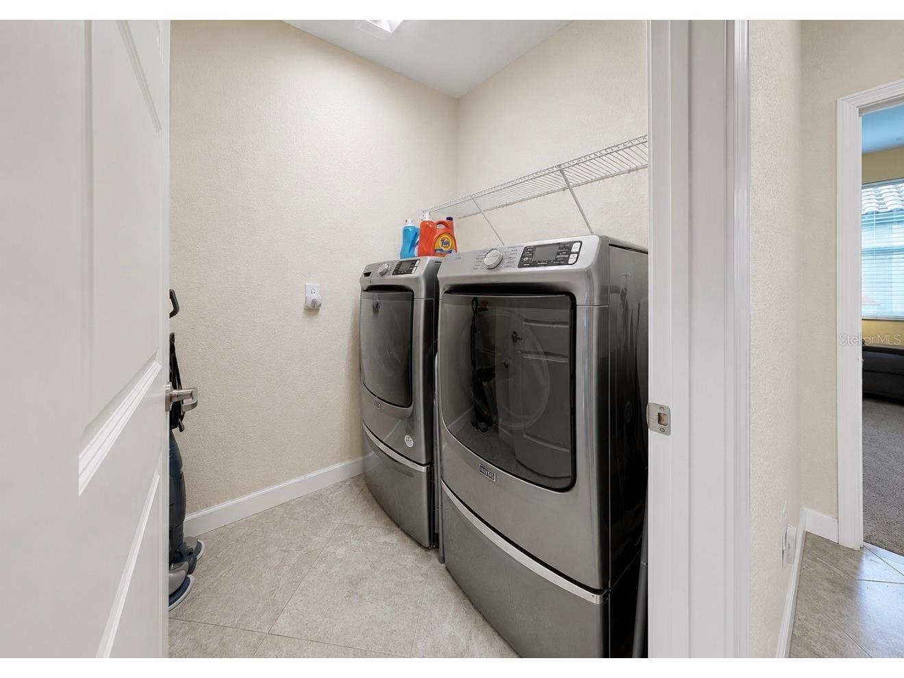 12018 Cardinal Flower Drive Riverview FL 33579 TB8517842 image35