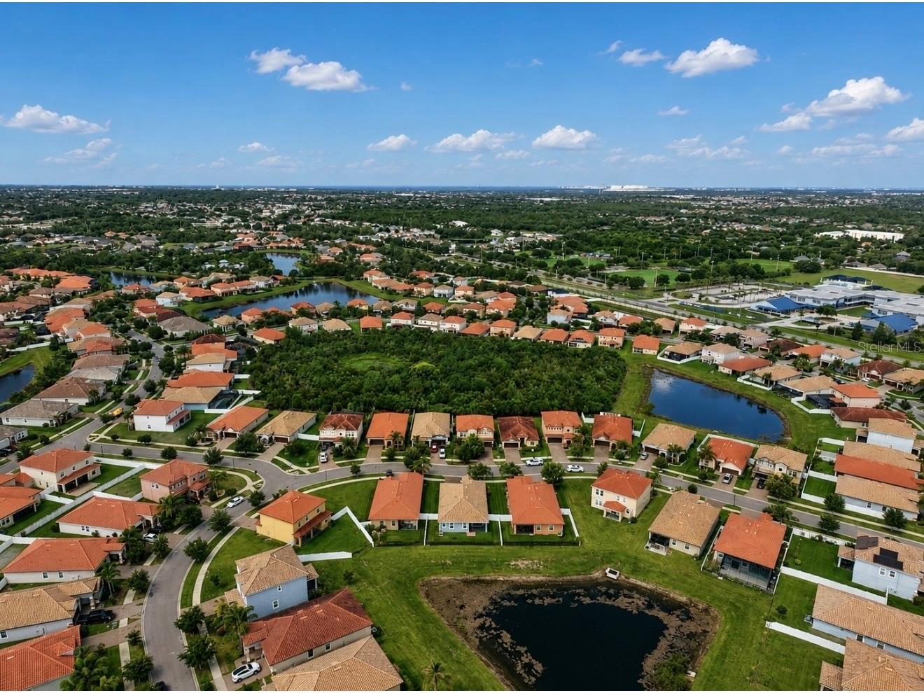 12018 Cardinal Flower Drive Riverview FL 33579 TB8517842 image48