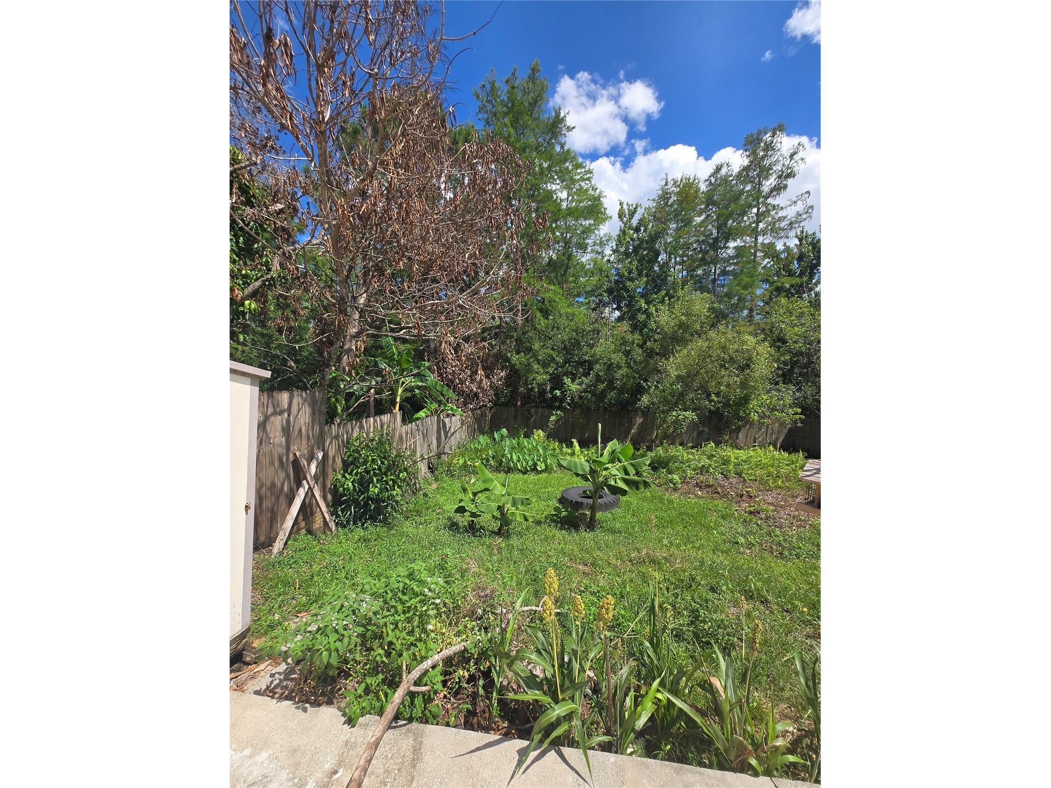 12018 Greco Orlando FL 32824 O6414522 image64