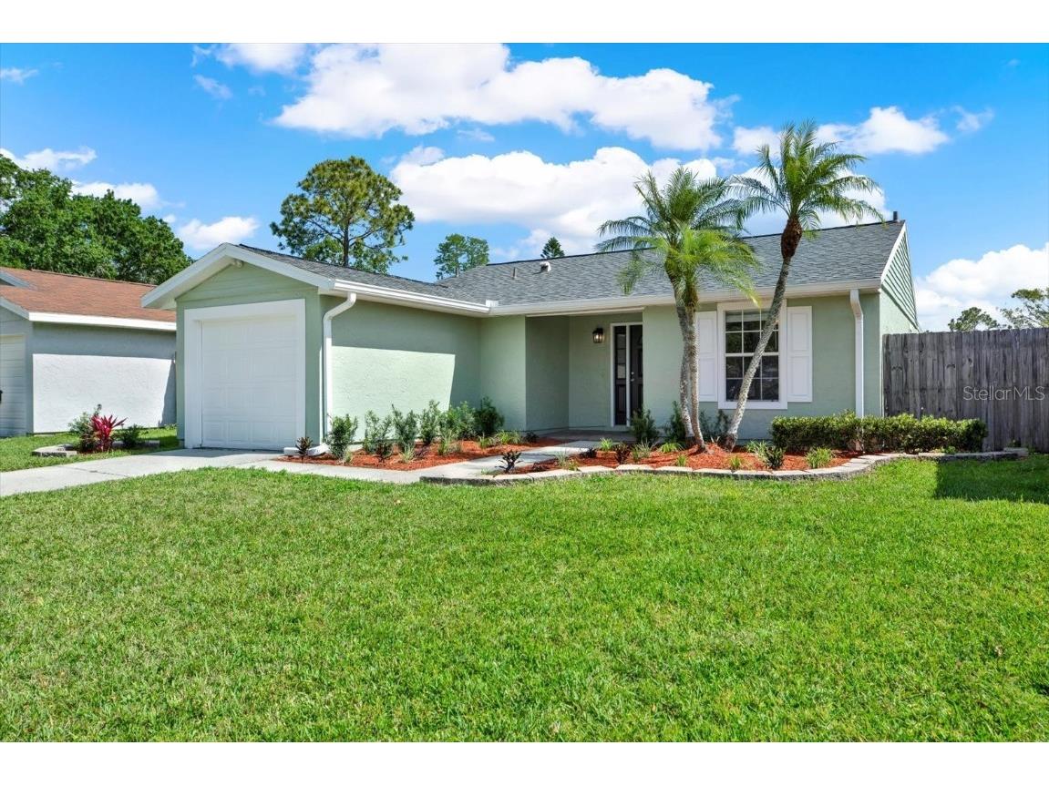 1202 Forestwood Drive Oldsmar FL 34677 W7874493 image1