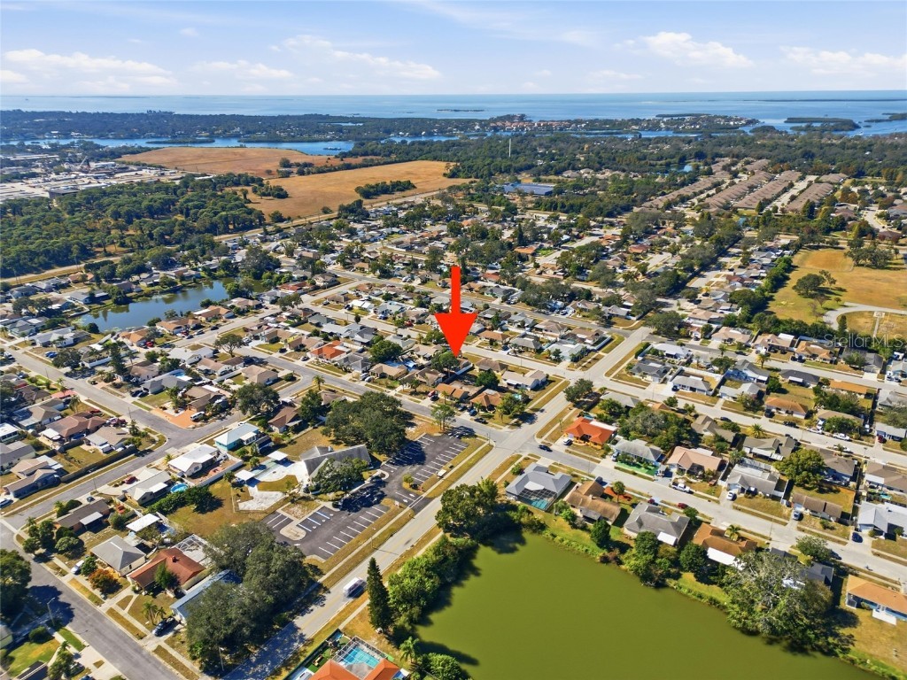 1202 Greenlea Drive Holiday FL 34691 TB8449030 image34