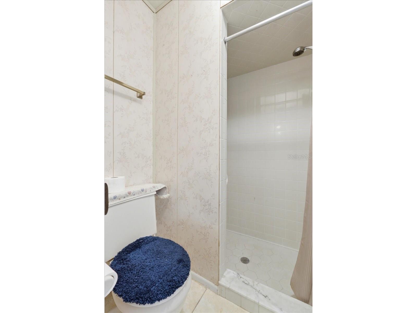 1202 Lake Ariana Boulevard Auburndale FL 33823 - LAKE ARIANA L4960189 image35