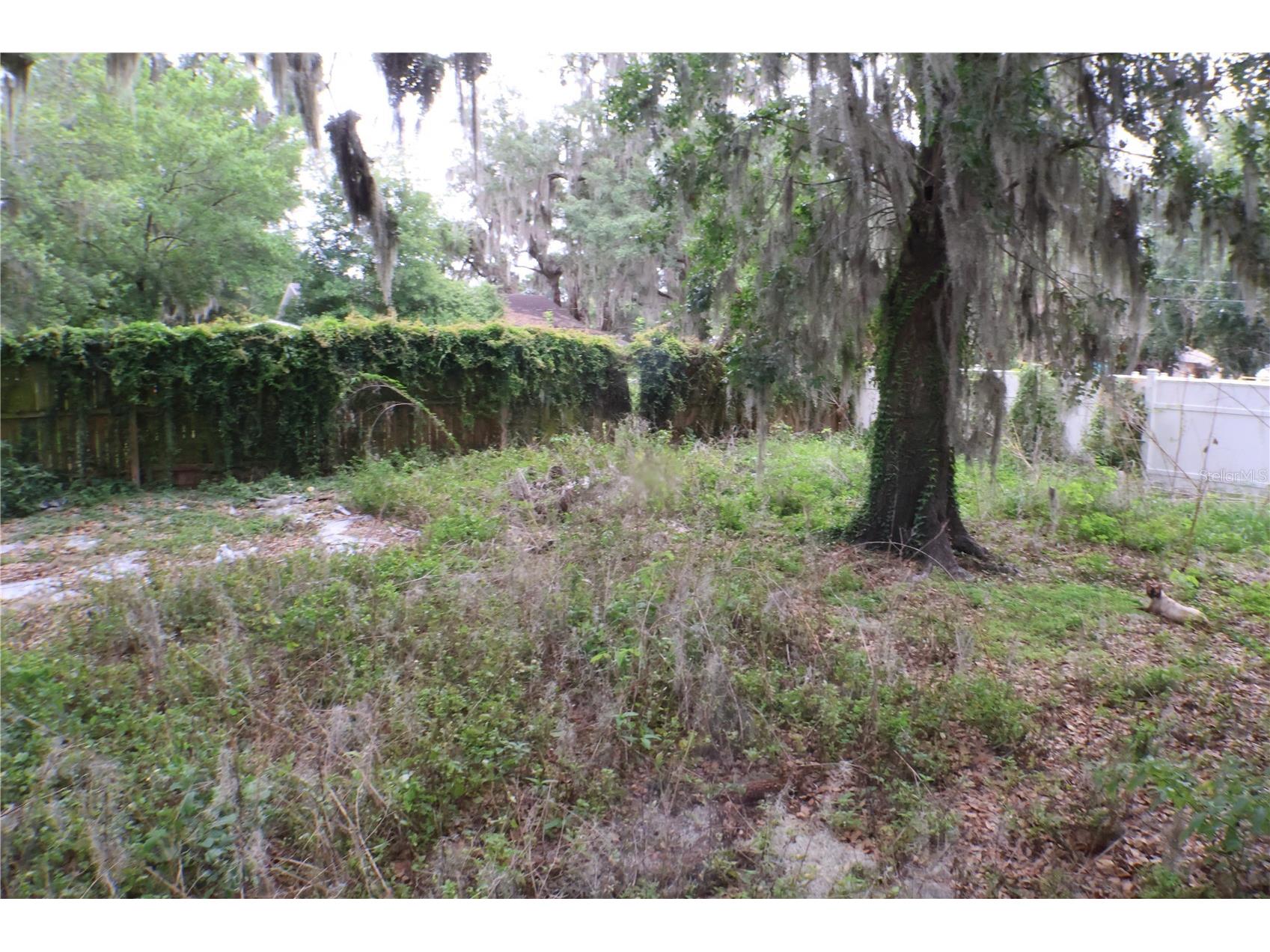 1202 N Ferrell Street Plant City FL 33563 A4695546 image13