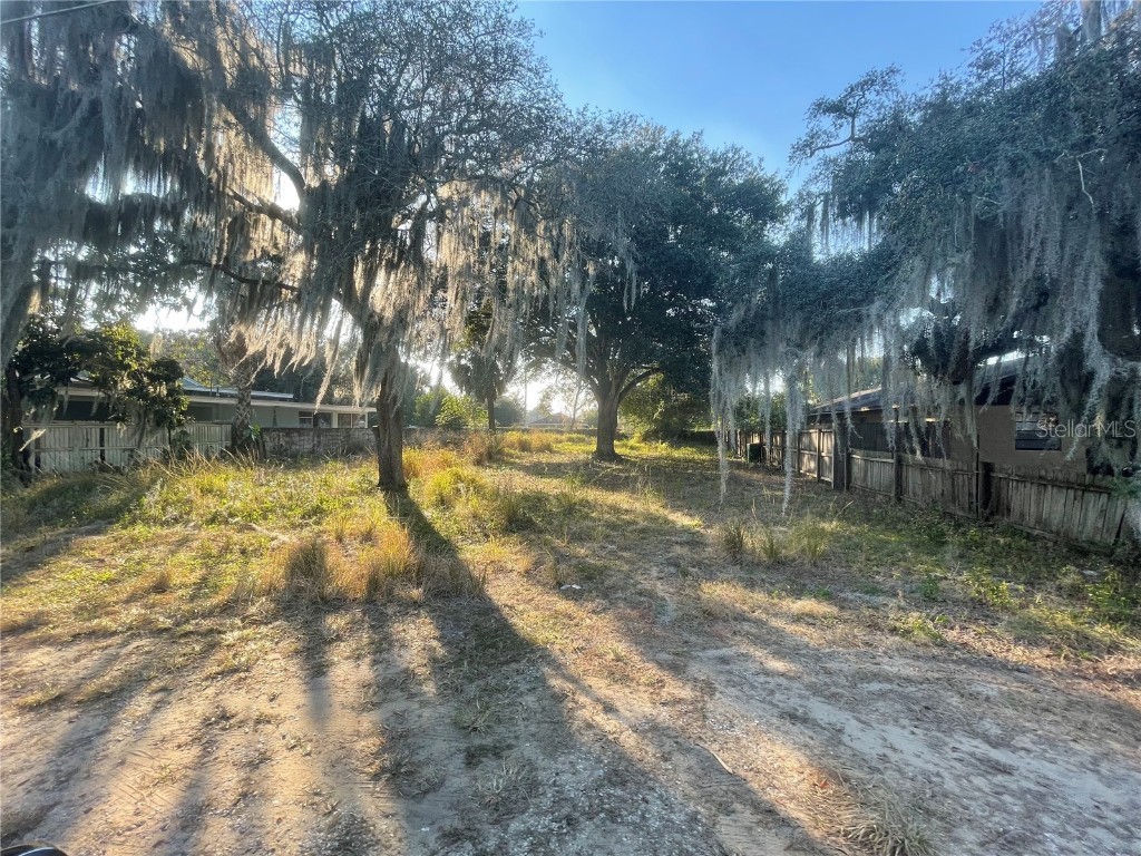 1202 S Dewey St Eustis FL 32726 O5996271 image1