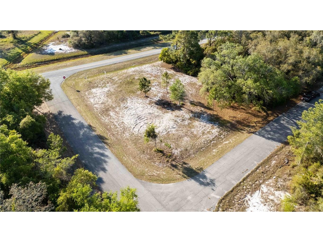 1202 Vernon Way Kissimmee FL 34759 S5123258 image3