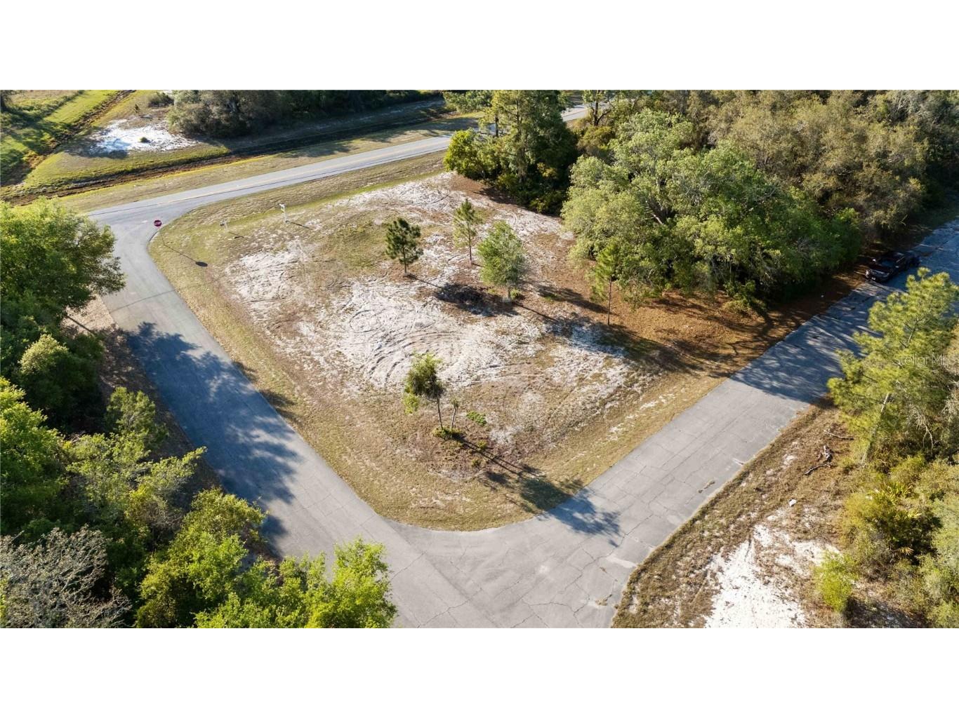 1202 Vernon Way Kissimmee FL 34759 S5123258 image8