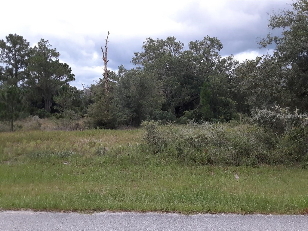 1202 Vernon Way Kissimmee FL 34759 S5123258 image9