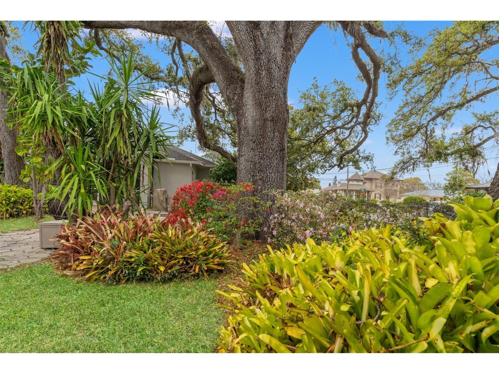 1202 W Coral Street Tampa FL 33602 TB8487422 image42